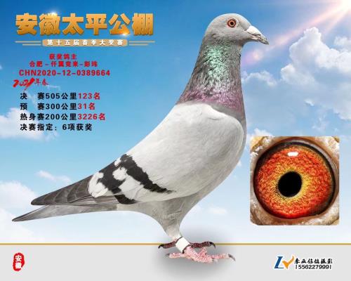 ̫ƽ����123��