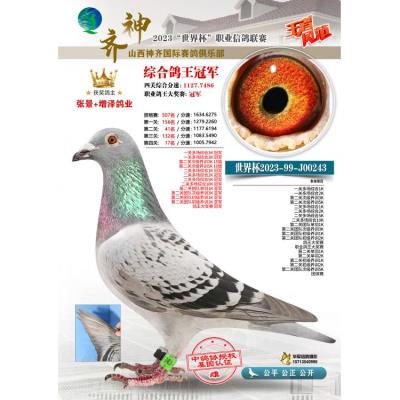 2023��ɽ������������ֲ���