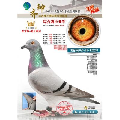 2023��ɽ������������ֲ���Ƭ