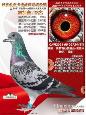 ���ð���