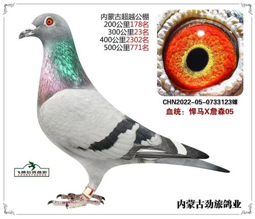 ���ð���