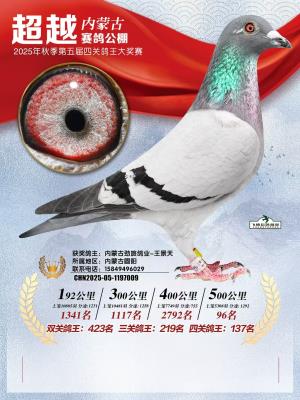 ���ð���