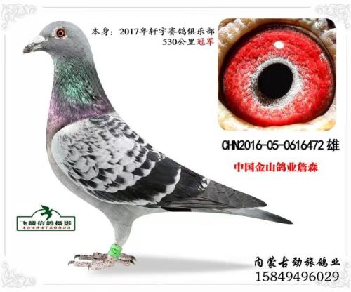 ���ð���