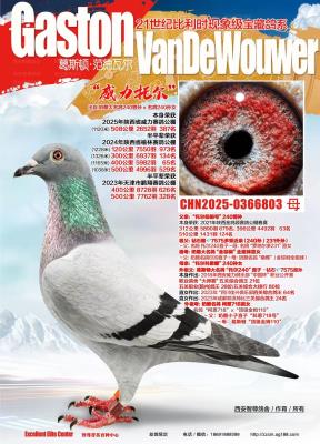 �����ж�