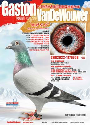 ��ɰ����