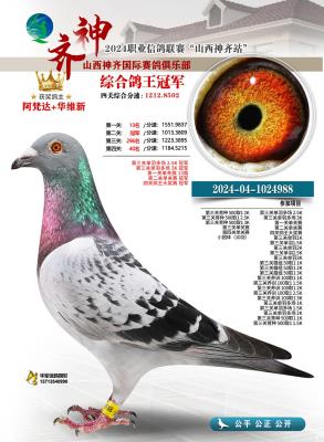 2024��ɽ��������Ƭ