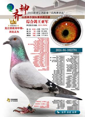 2025��ɽ������������ֲ���Ƭ