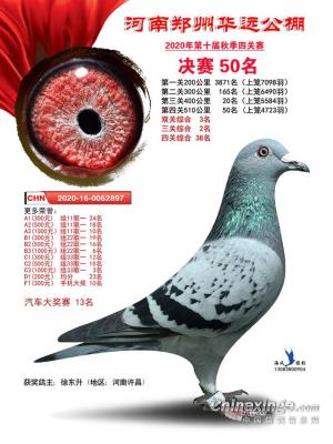 ��Զ�����Ǿ�