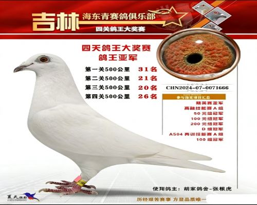 166���׻�����