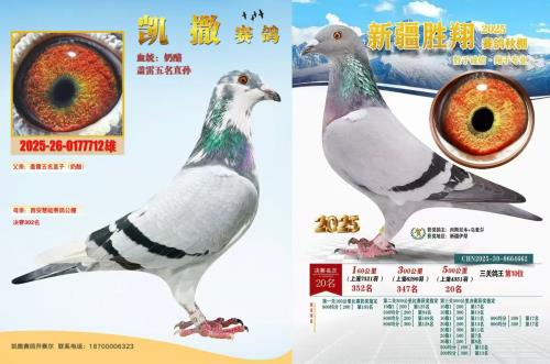 ����5ϵ�����10��