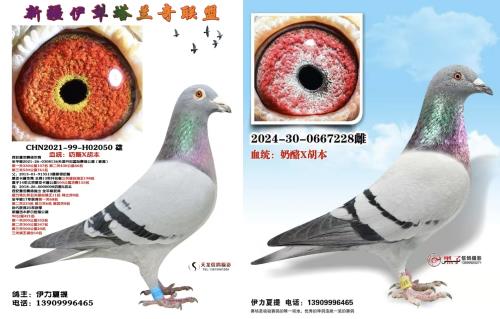 �������������