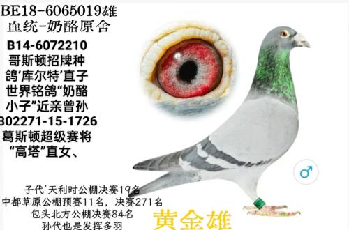 �ƽ��ۣ�888��