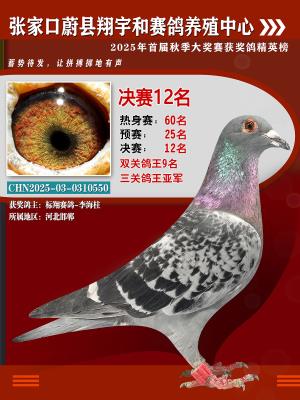 ��������빫�����12��