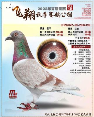 ���蹫�����204��