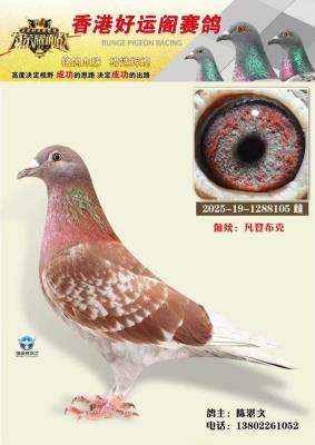 ʵս���ǲ���