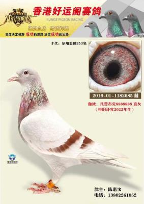 ʵս���ǲ���