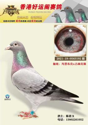 ʵս���ǲ���