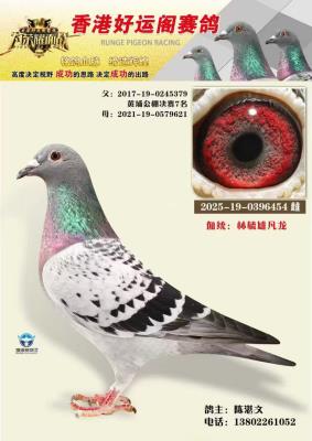 ��ۺ��˸���������