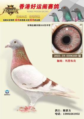 ��ۺ��˸���������