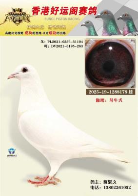 ��ۺ��˸���������