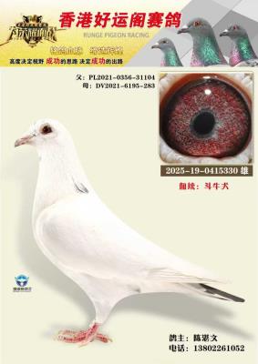 ��ۺ��˸���������