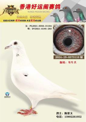 ��ۺ��˸���������