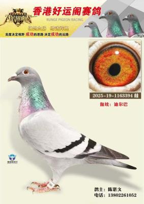 ��ۺ��˸���������