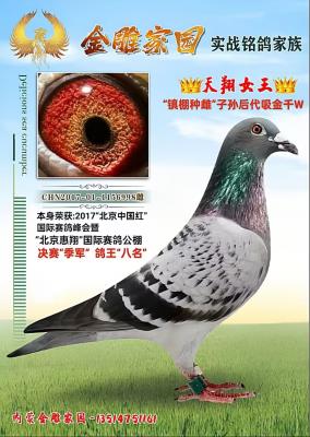 ����Ů��