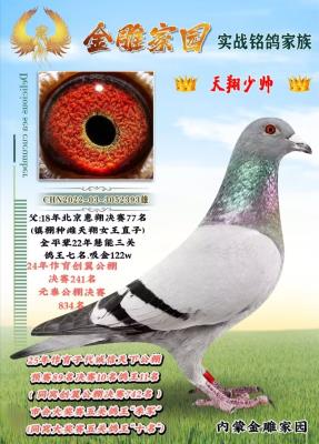 ���ɽ���԰