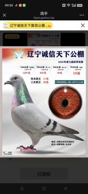 ���ɽ���԰