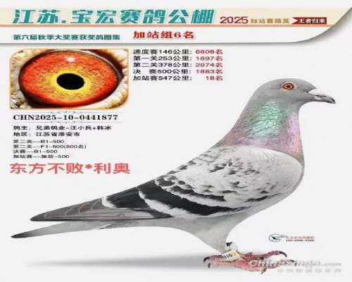 ���˹��ʡ�������