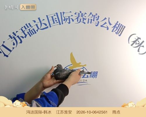 ���˹��ʡ�������