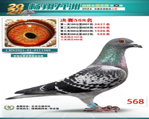 ������ͩ�ܸ���