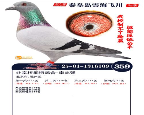 ������ͩ�ܸ���