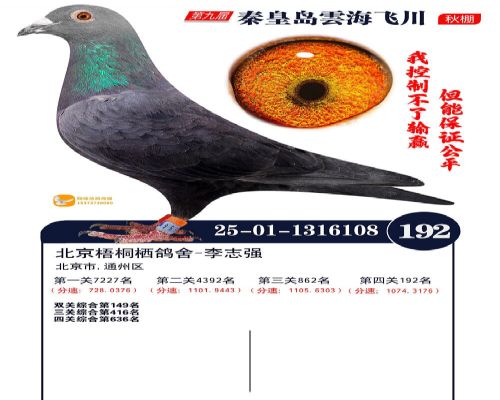 ������ͩ�ܸ���