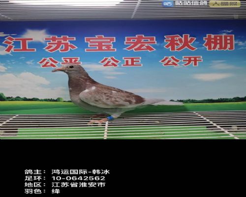 ���˹��ʡ�������