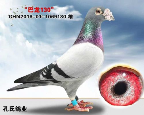 ��Դ����