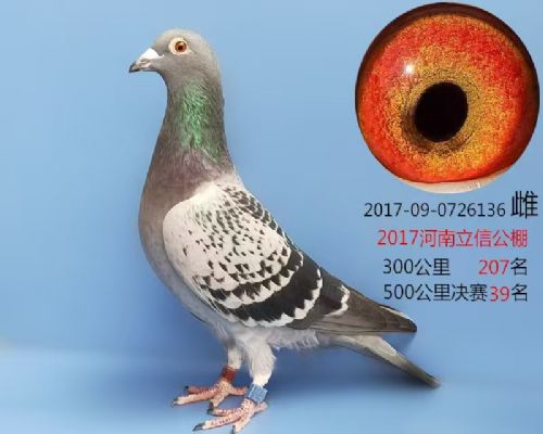 ��Դ����