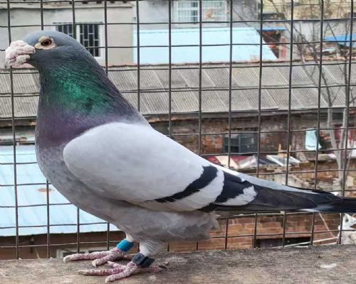 ��Դ����