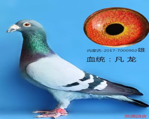 ��Դ����