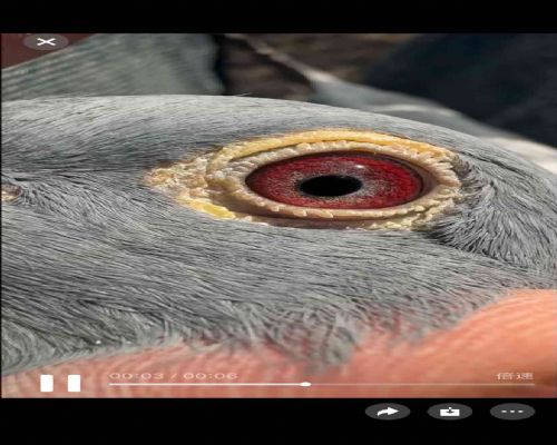 ��Դ����