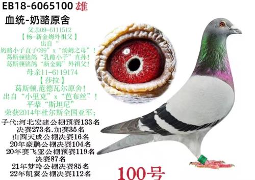 100��