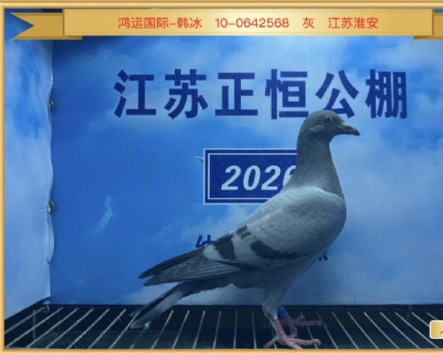�Ⱥ�27��
