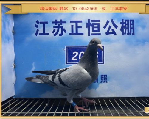 ���޺ͺ�ë