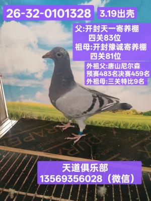 13569356028