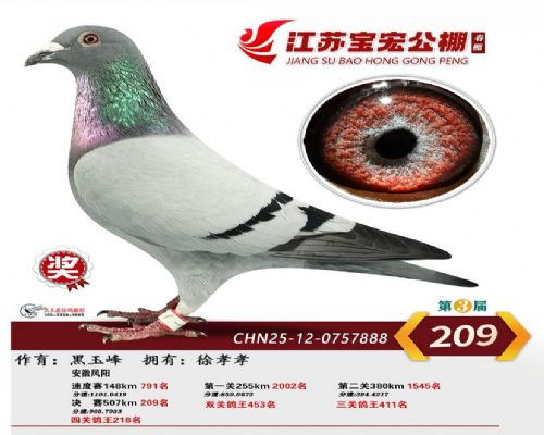 ����209��