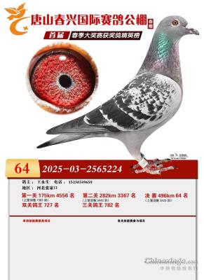 �����˹������64λ
