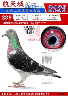 �����239��