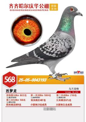 ����568��420��Ů��