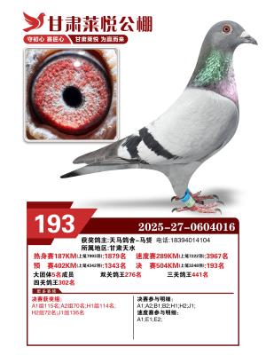 ���ô������193��